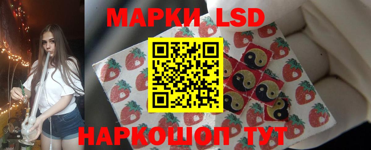  COCAIN Майкоп