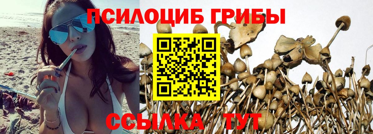 Майкоп  Галлюциногенные грибы мухоморы  Вход с VPN 