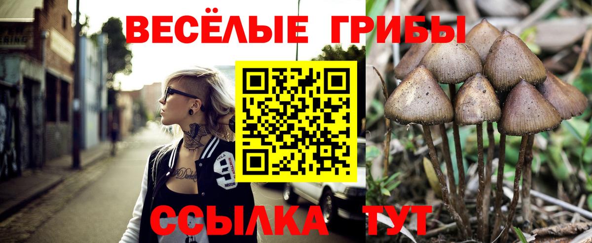 Галлюциногенные грибы GOLDEN TEACHER Майкоп